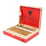 Toro illyrian 50x6 20 Pack Wooden Box